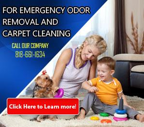 Carpet Cleaning Chatsworth, CA | 818-661-1634 | Fast & Expert