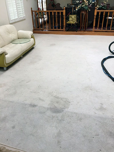 How and Where Mold Grows