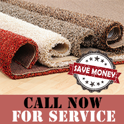 Contact Carpet Cleaning Company